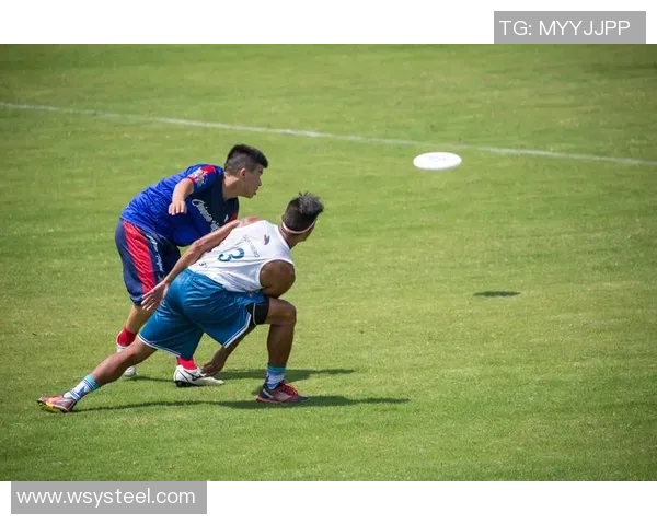 广州飞盘队荣登全国比赛经验排行榜第六名展现实力与团队精神 广州飞盘队荣登全国比赛经验排行榜第六名展现实力与团队精神