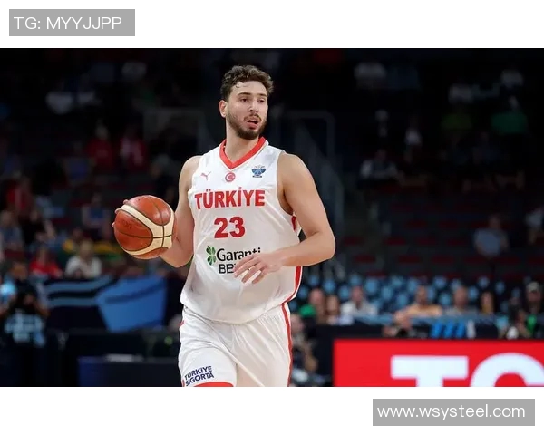 2010年美国与土耳其篮球赛精彩录像回放及解说分析